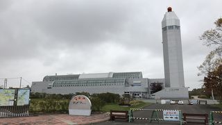 鮭以外にもいろいろ見られる水族館