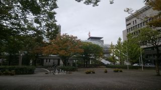 紅葉が始まっていました