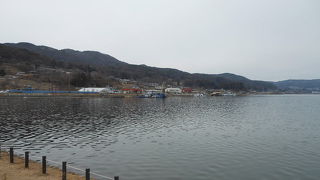 諏訪湖でバードウォッチングを楽しみました。