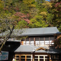 紅葉はイマイチながら晴天の外観です