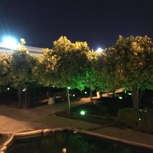 庭園が素晴らしい