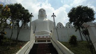 丘の上の白い大仏