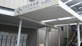 クラゲゾーンがオススメ