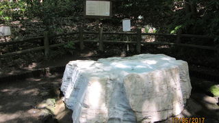 偕楽園内の癒しのスポット