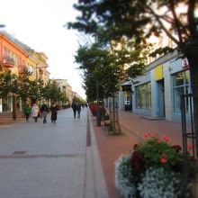 歩行者天国です。