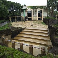 動物園の様子