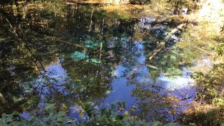 まるで西洋の絵画のようでした