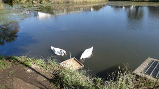 ふるさとふれあい公園