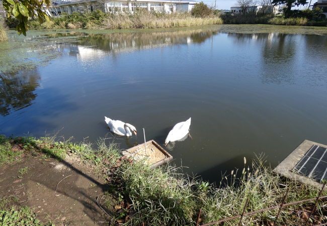 ふるさとふれあい公園