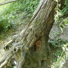 コブタの家！？