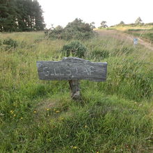 プーが森のてっぺんと呼んだ見晴らしのいいギルズラップ