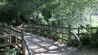 プー カントリー