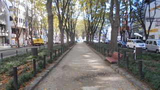 樹木が色づいていました