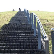 それほど苦ではなかった。