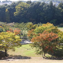 頂から、もっと紅葉進めば、、、