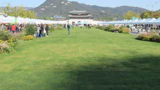 景福宮へ続いているのよー