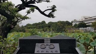 不忍池弁天堂近くのユニークな石碑