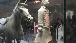 １→３→２号坑、陳列庁、兵馬俑発見者記念館の順に回りました。