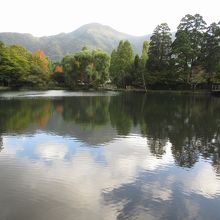 奥側に足を運ぶと風情があります