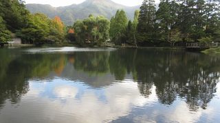 昼間のほとりは賑やかすぎます