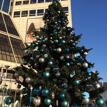 お昼のドゥータ