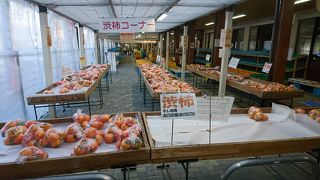 秋は柿が特設テント内にずらりと並ぶ