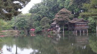 池のほとり