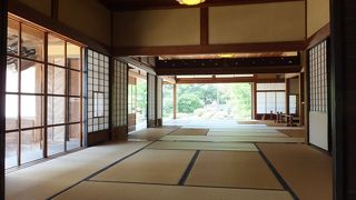 畳のお部屋で庭を眺めながらくつろぐ。