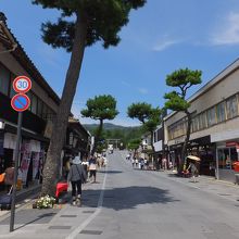 正面が出雲大社