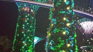 スケールの大きさに感激