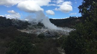 マオリ文化に触れる