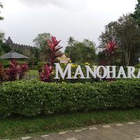 ホテルの庭からボロブドゥール遺跡が見えます