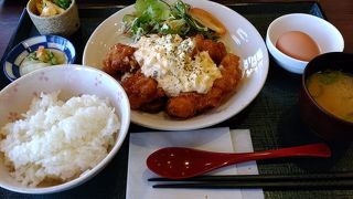 チキン・鶏肉・ナマタマゴ