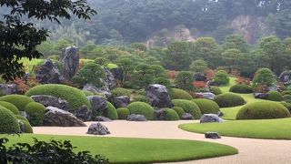 庭園が本当に素晴らしい