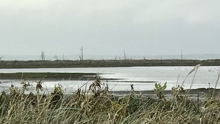 ネイチャーセンターの裏の遊歩道からアクセスできます