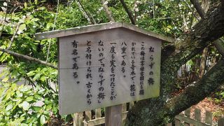 見所がいろいろあります