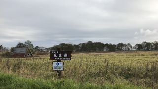 道の駅スワン４４ねむろの前から一望できます
