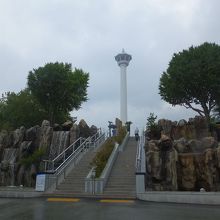 見上げたところ。