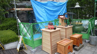 少し残念な光景でした