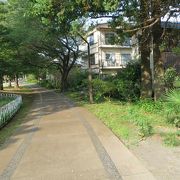 路のような公園