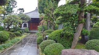 緑が多くて静かな雰囲気