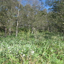 ワイルドな景観が広がります