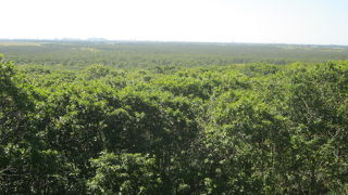 釧路湿原にある遺跡です