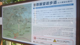 歩き応えがある遊歩道です