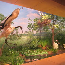 タンチョウを配した釧路湿原のジオラマも迫力満点！