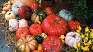 お花を楽しみながら