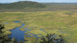 原野の風情がダイナミックに楽しめます！