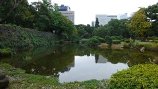 濃い緑、背後にはビル群