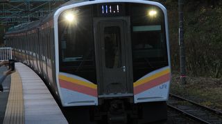 高崎駅と土合駅間を往復利用