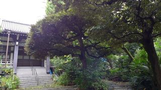 お寺なのに豊川稲荷堂があります